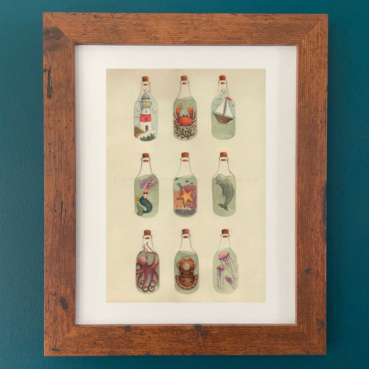Salty Curiosities Giclee Fine Art Print ©Cara Finnerty Coleman
