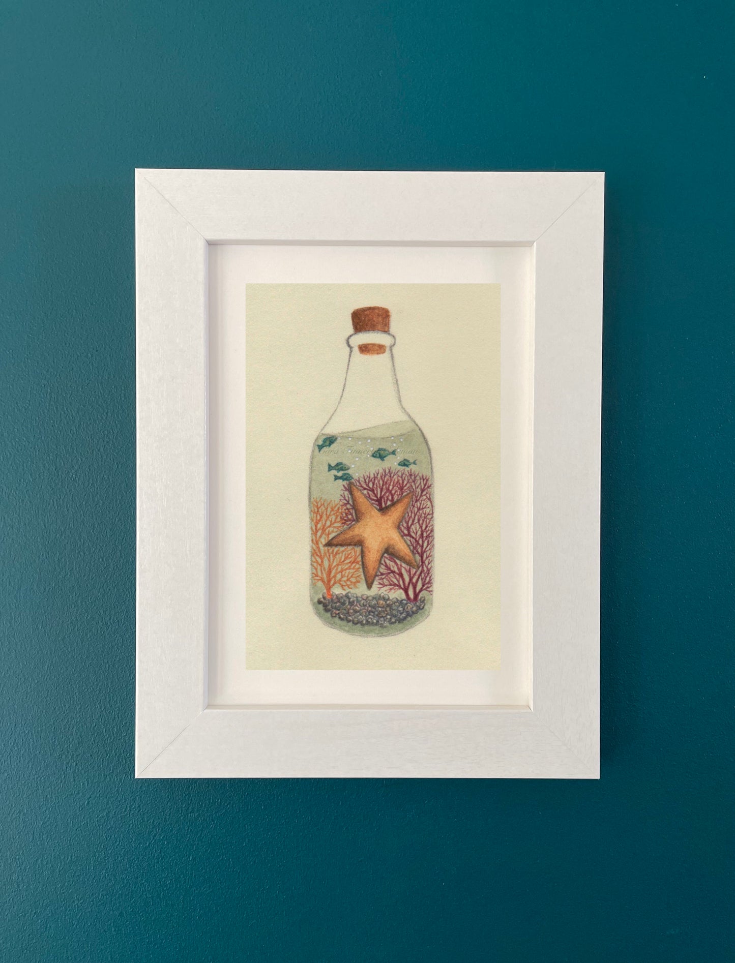 "The Starfish" Fine Art Print ©Cara Finnerty Coleman