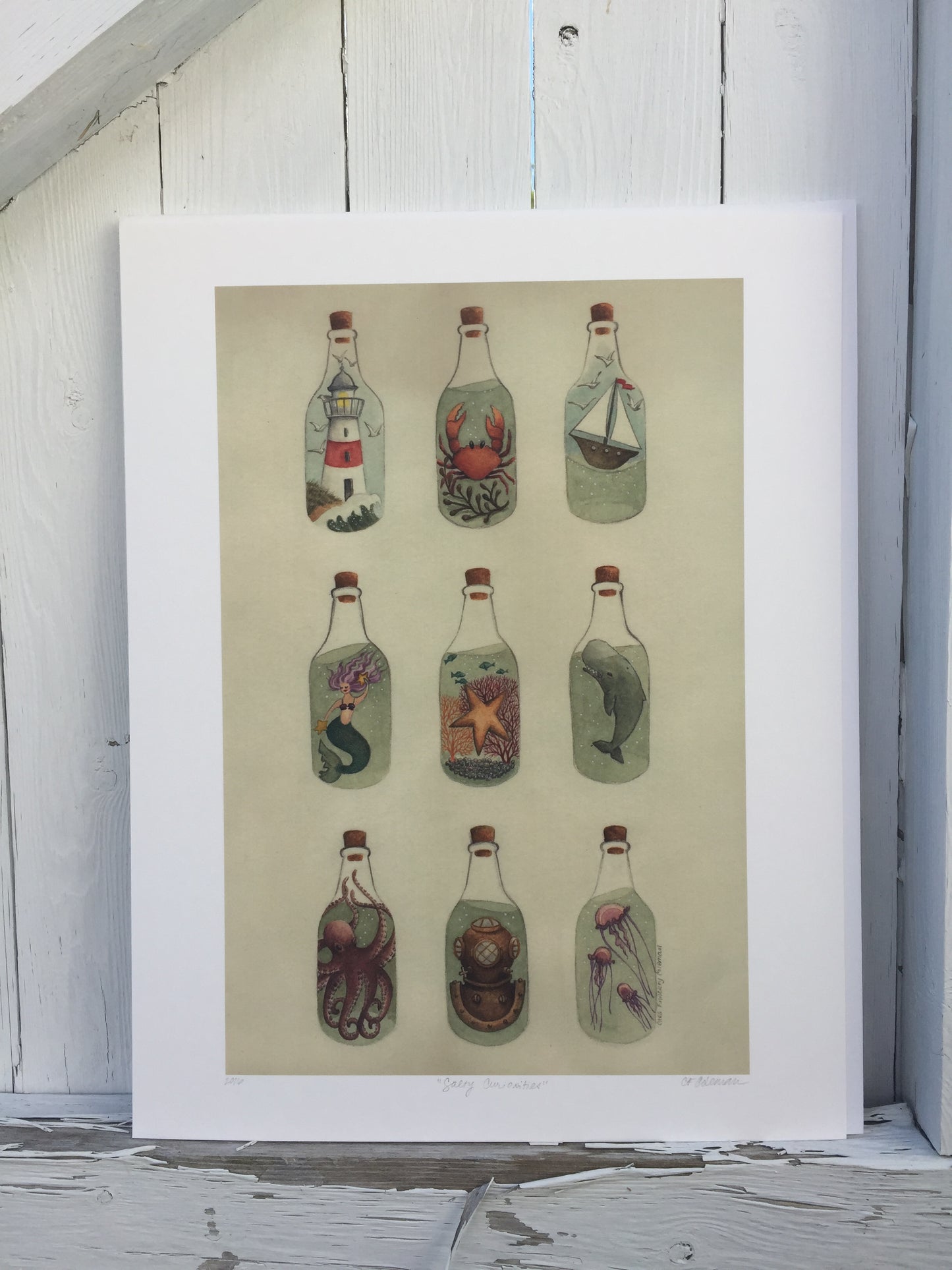 Salty Curiosities Giclee Fine Art Print ©Cara Finnerty Coleman