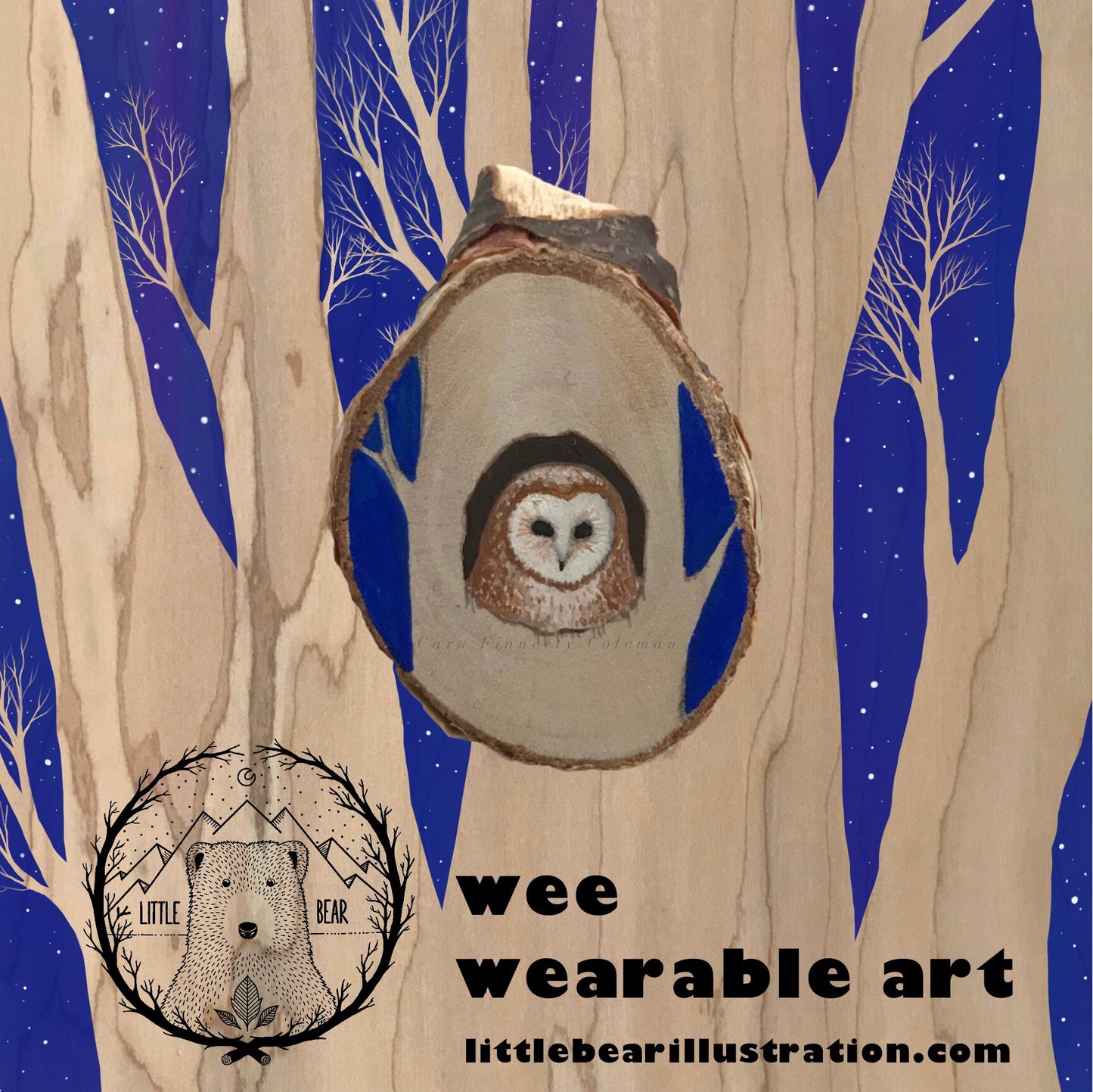 Hand-Painted Mr Owl is Watching Wooden Brooch©Cara Finnerty Coleman