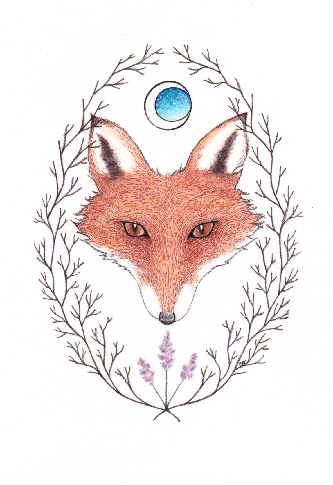 "Crazy Like A Fox" Matted Fine Art Print ©Cara Finnerty Coleman