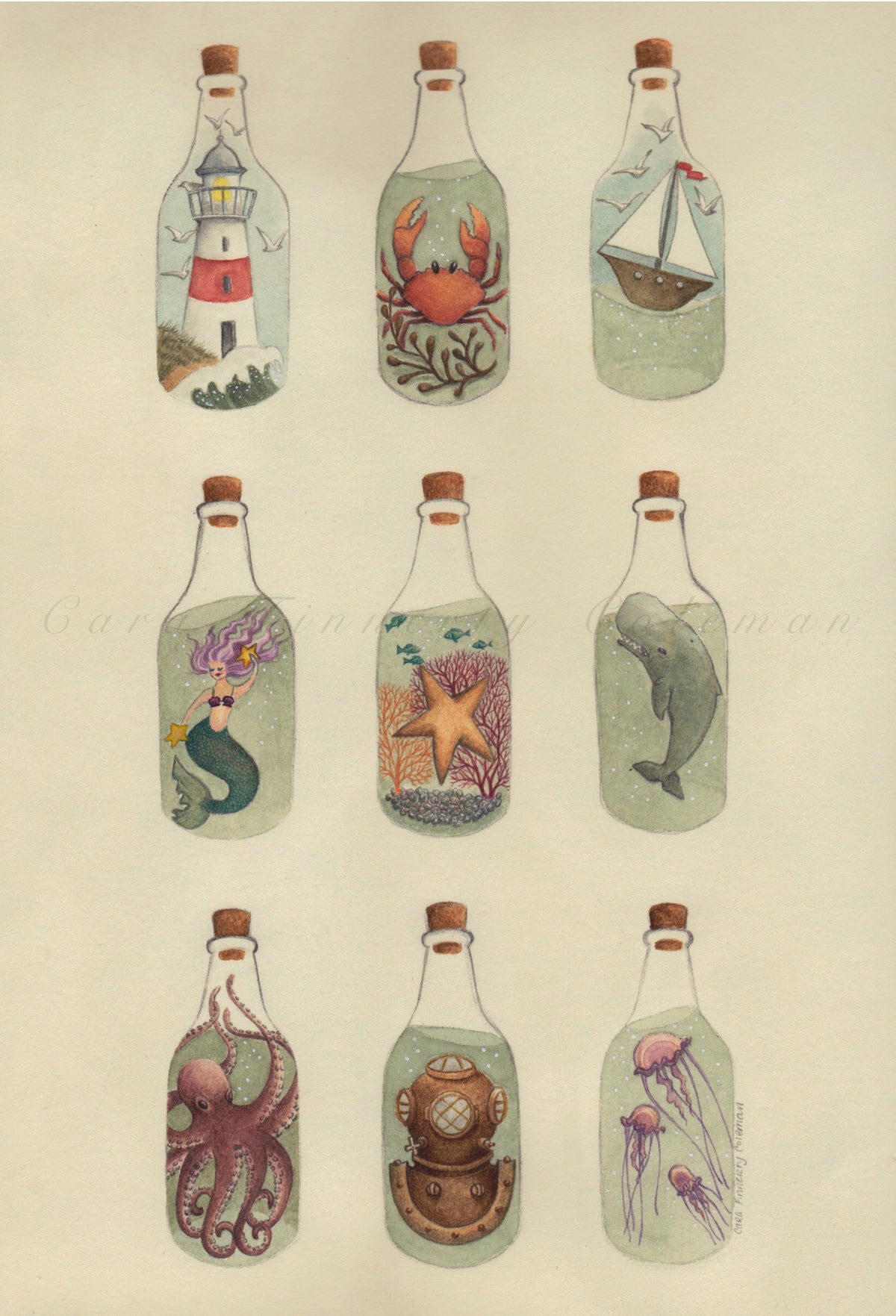 Salty Curiosities Giclee Fine Art Print ©Cara Finnerty Coleman