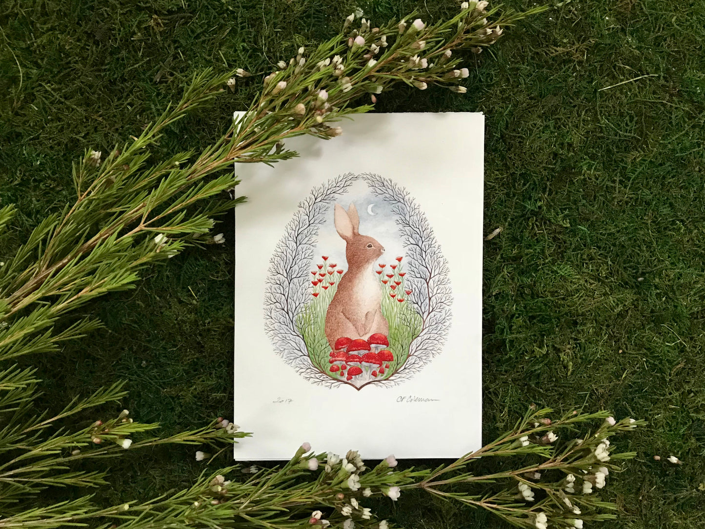 "Dusk in the Meadow" Fine Art Print ©Cara Finnerty Coleman