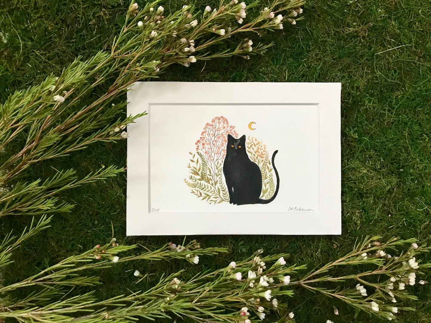 "Black Cat" Matted Fine Art Print ©Cara Finnerty Coleman