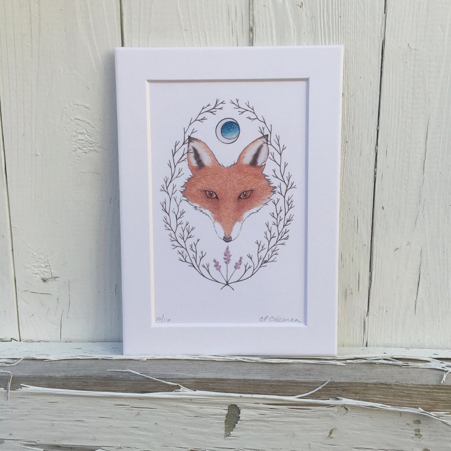 "Crazy Like A Fox" Matted Fine Art Print ©Cara Finnerty Coleman