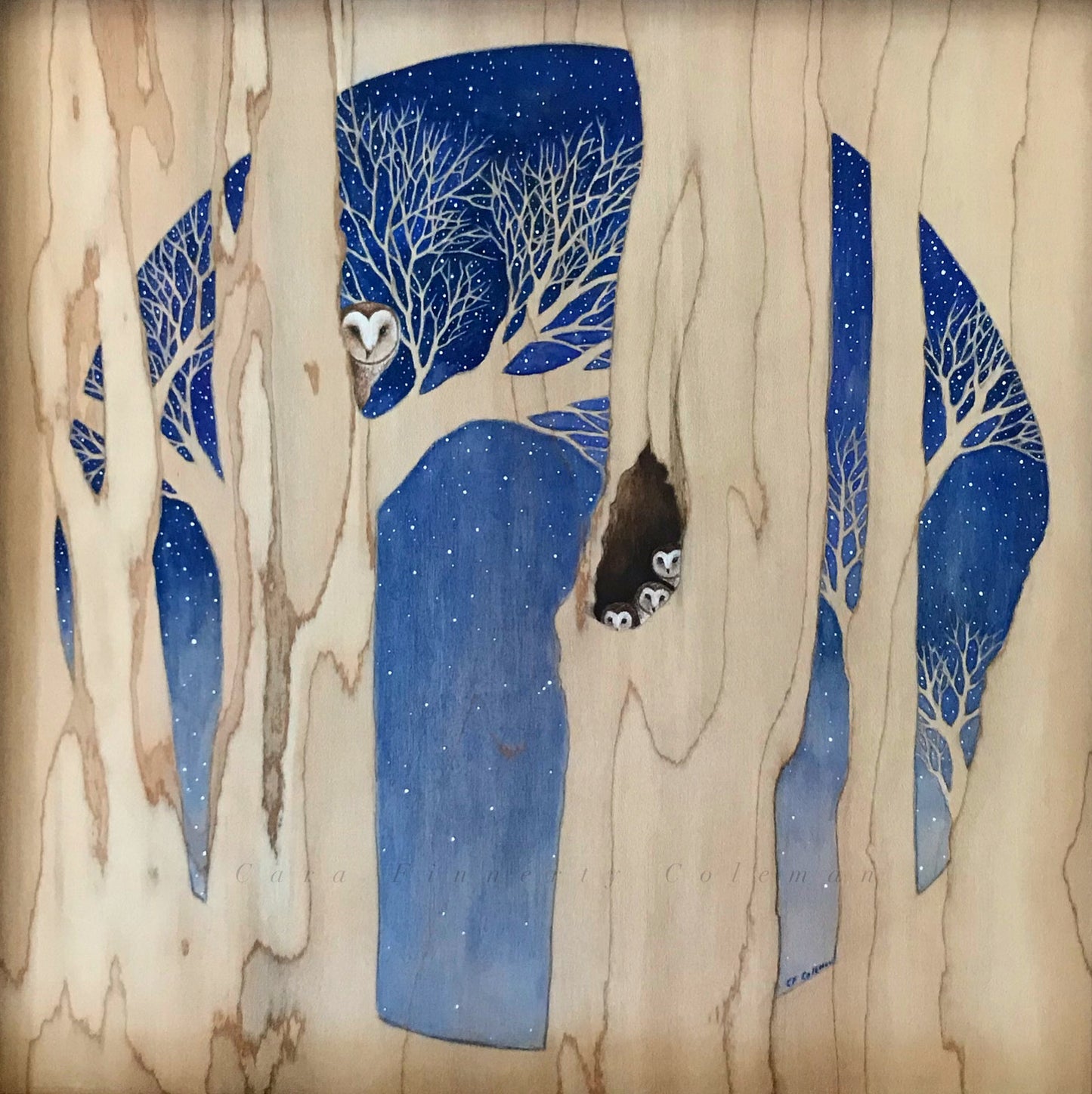 "Night Owls" Fine Art Print ©Cara Finnerty Coleman