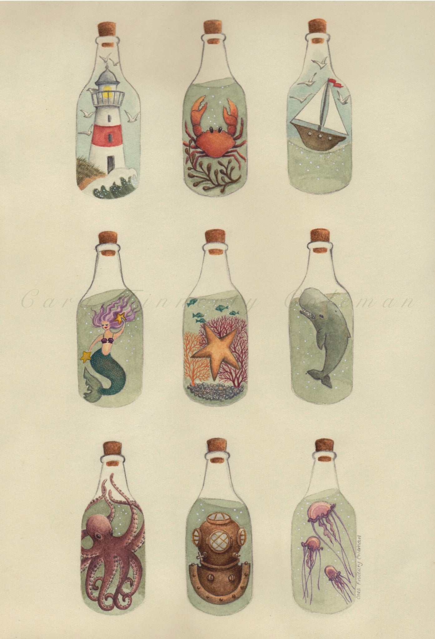 Salty Curiosities Giclee Fine Art Print ©Cara Finnerty Coleman