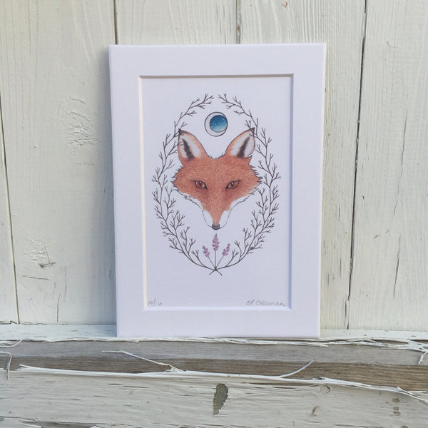 "Crazy Like A Fox" Matted Fine Art Print ©Cara Finnerty Coleman